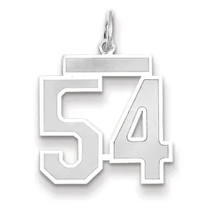 14k White Gold Satin Brush Finish Medium Size Number 54 Charm Pendant
