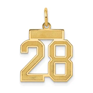 14k Yellow Gold Satin Brush Finish Small Size Number 28 Charm Pendant