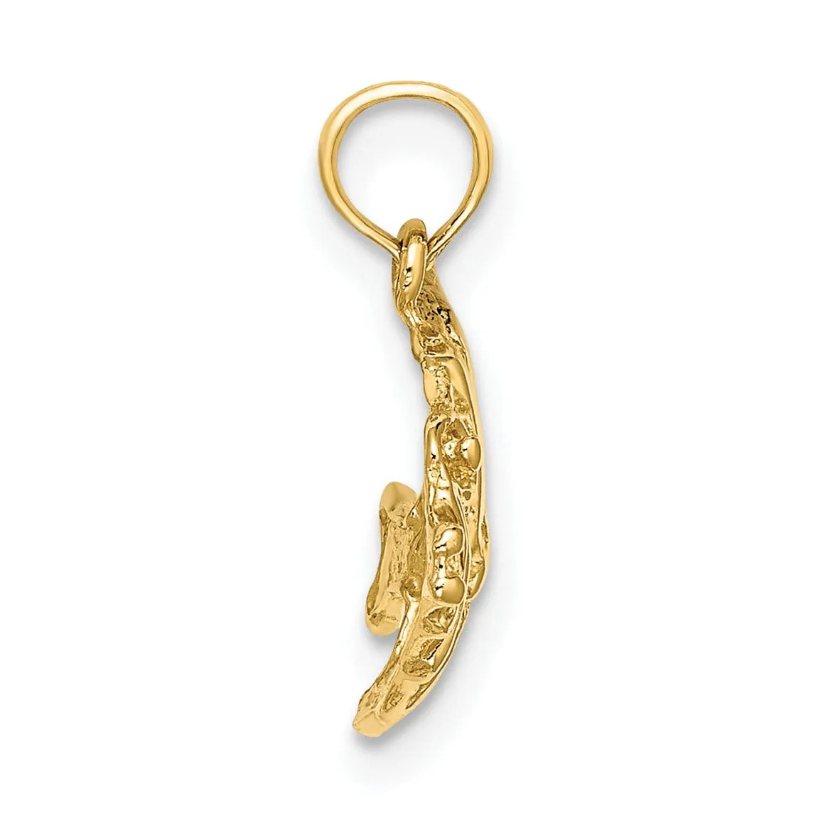 14K Yellow Gold Textured Solid Polished Finish Fish Design Charm Pendant