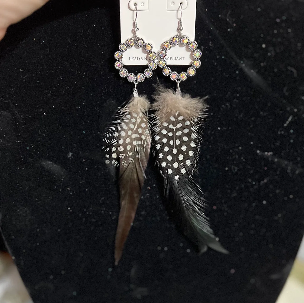 Black Native Inspired Qual Feather Hoop Sparkle Earrings