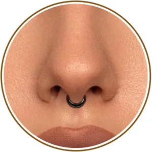 Btysun Nose Rings for Women, Septum Hinged Hoop 16G Nostril Helix Cartilage Earrings, Tragus Rock Conch Lip Daith Piercing Jewelry 8MM 10MM