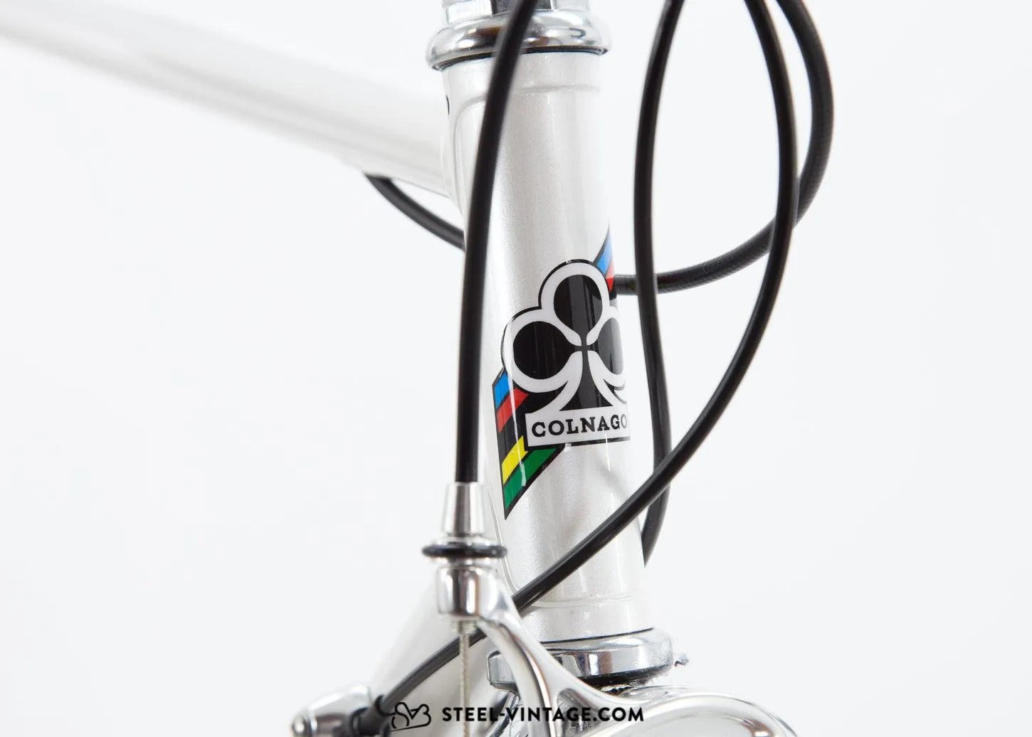 Colnago Avorio Neo-Retro Bicycle Campagnolo Centaur 11s