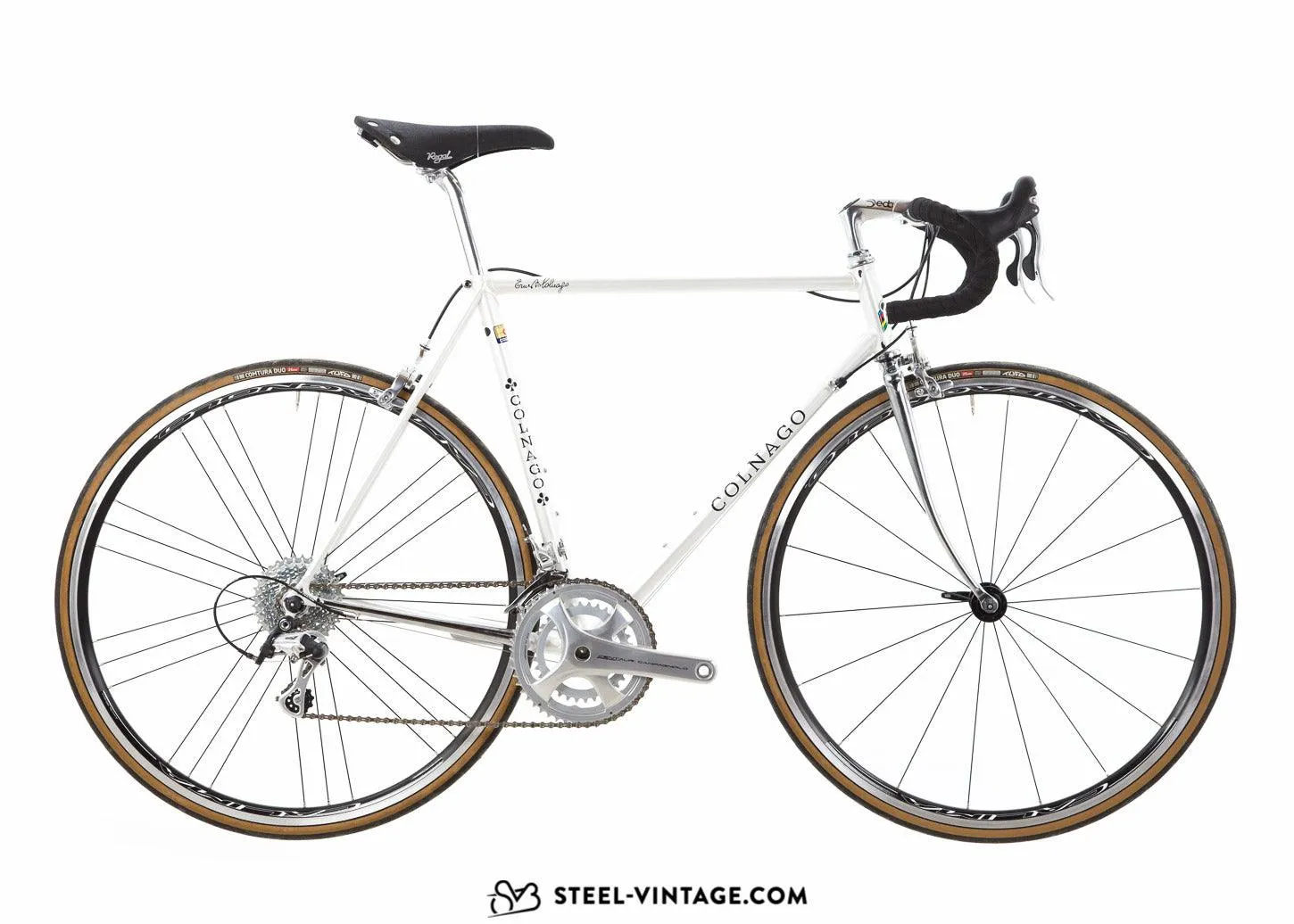 Colnago Avorio Neo-Retro Bicycle Campagnolo Centaur 11s