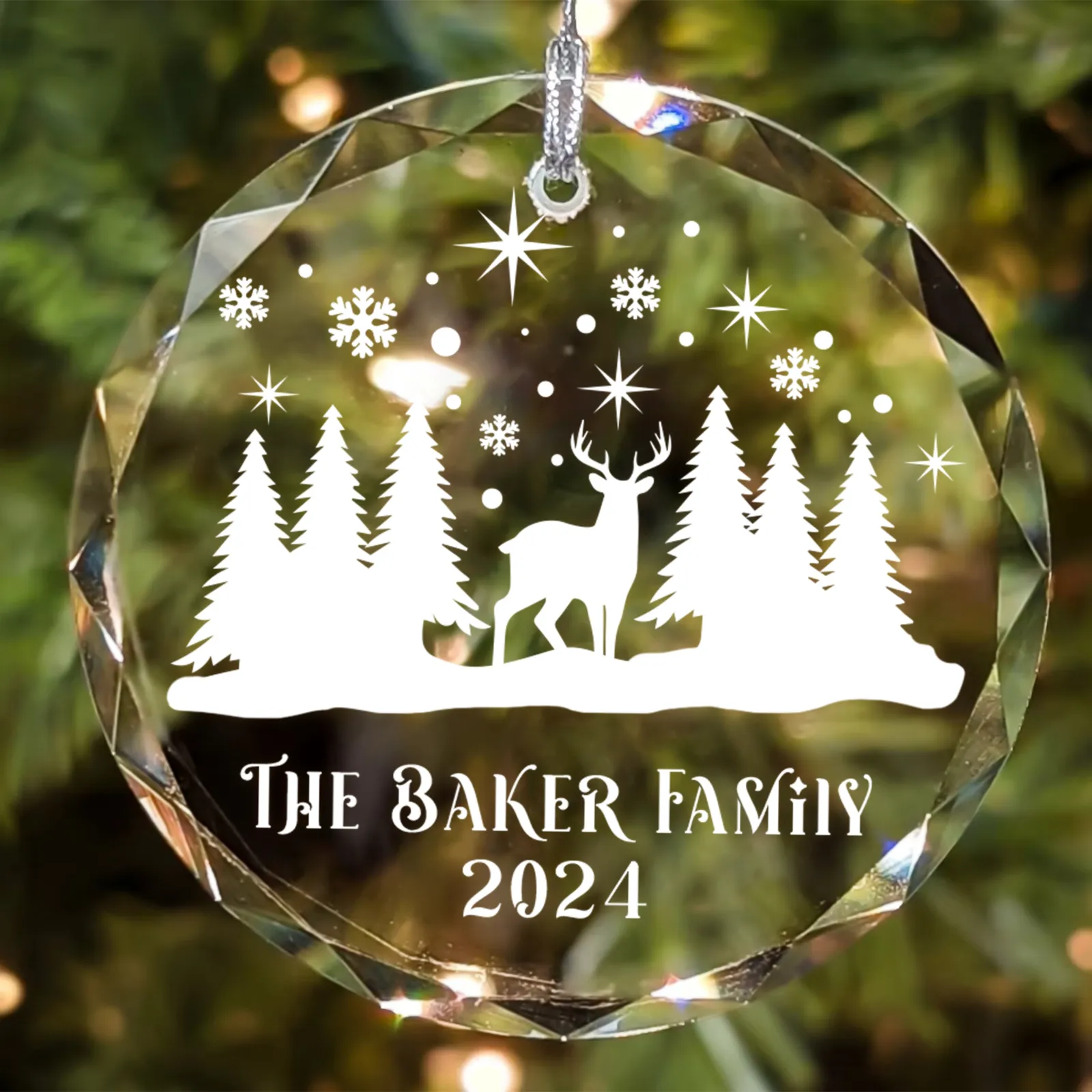 Personalized Family Christmas Glass Ornaments GX02-4