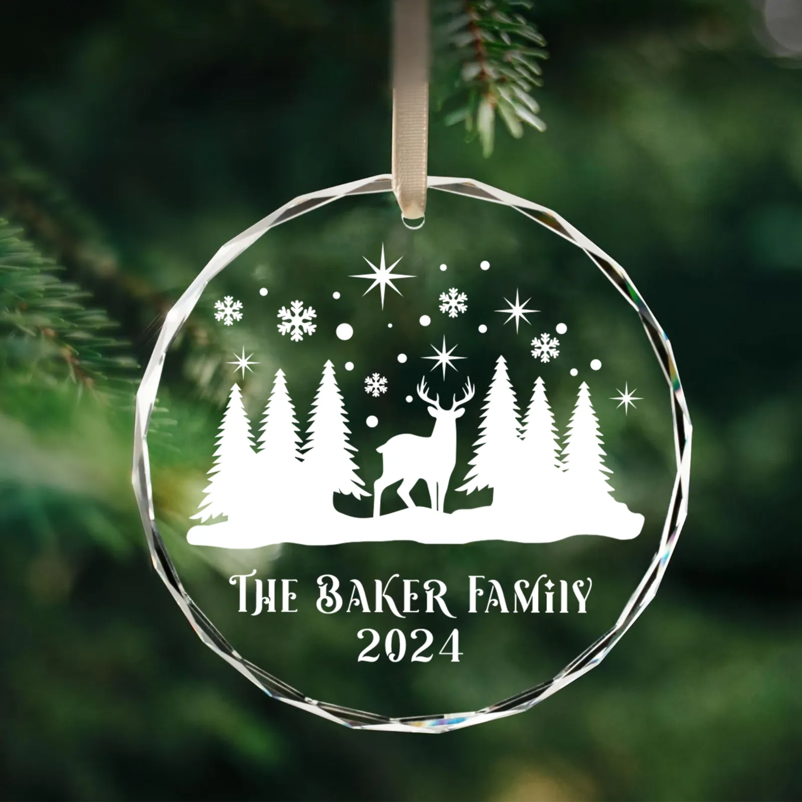 Personalized Family Christmas Glass Ornaments GX02-4