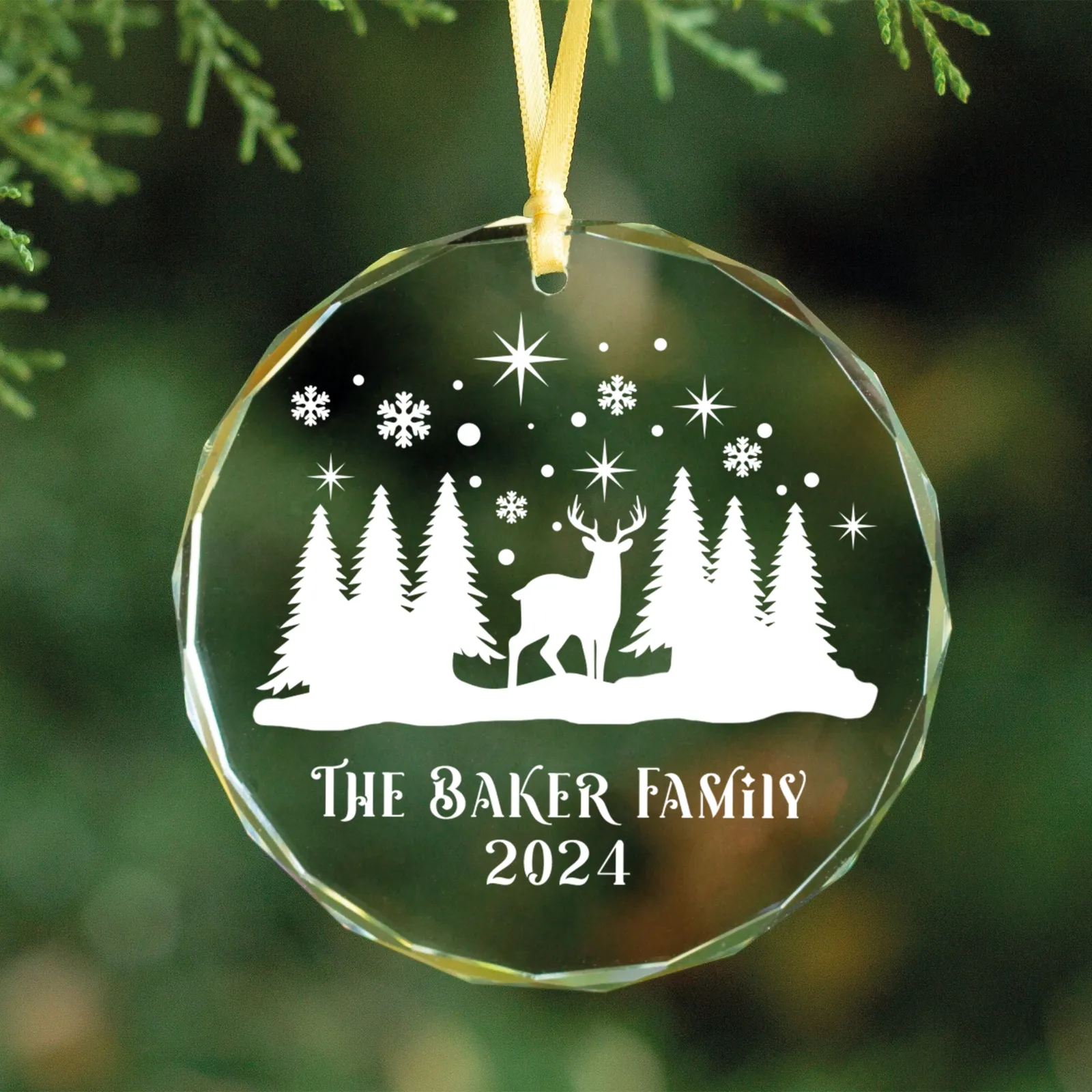 Personalized Family Christmas Glass Ornaments GX02-4