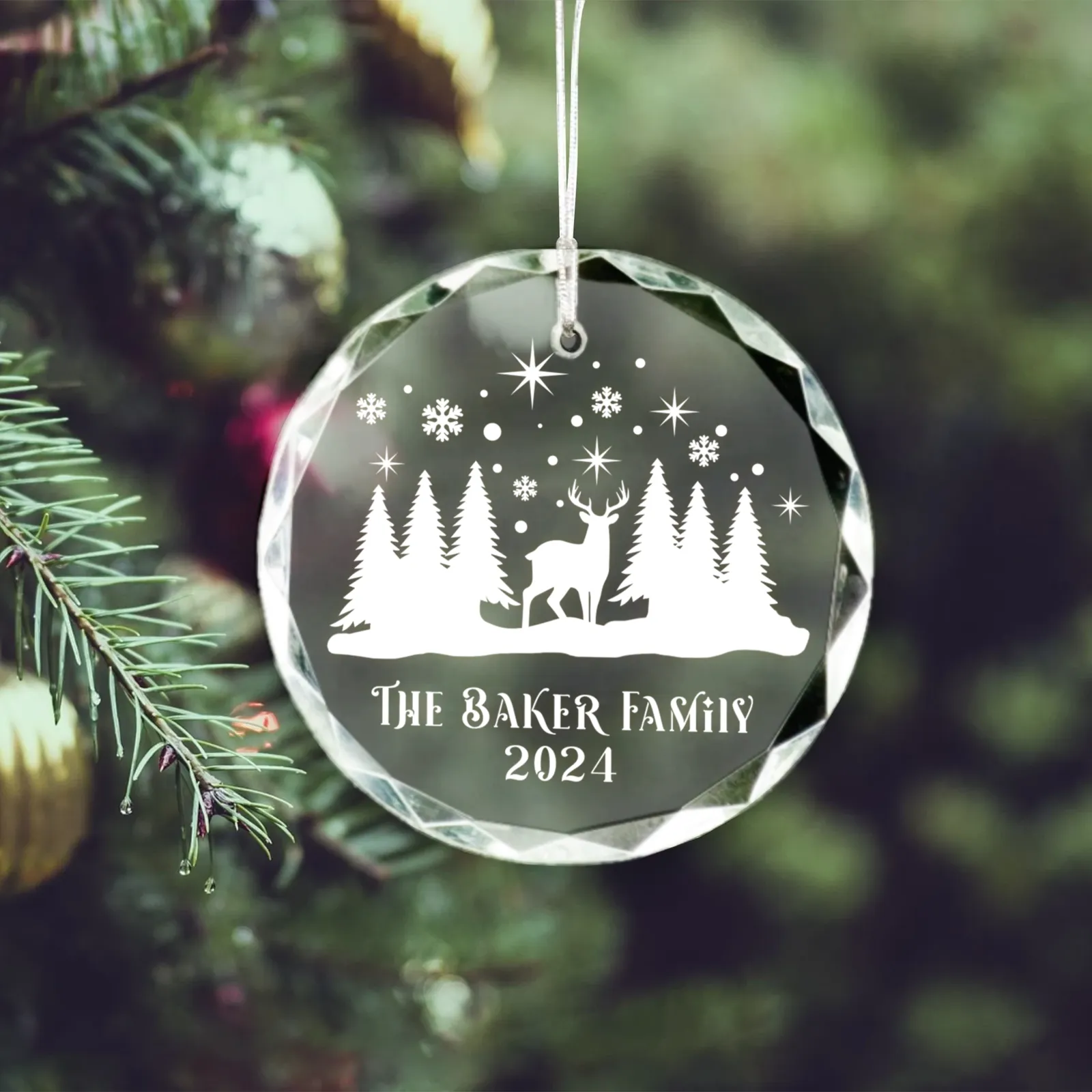 Personalized Family Christmas Glass Ornaments GX02-4