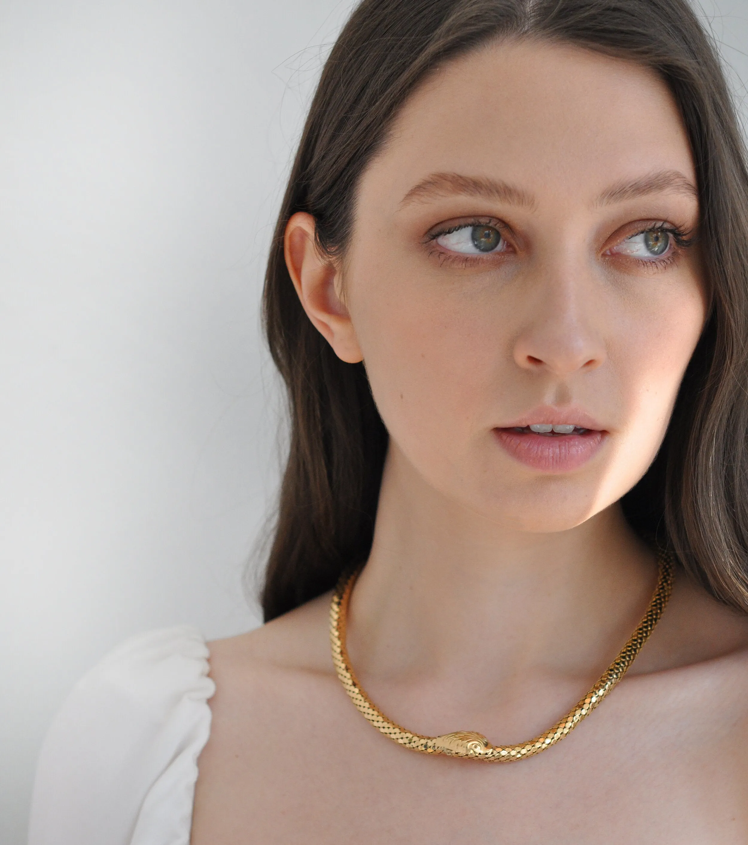Retro Snake Necklace