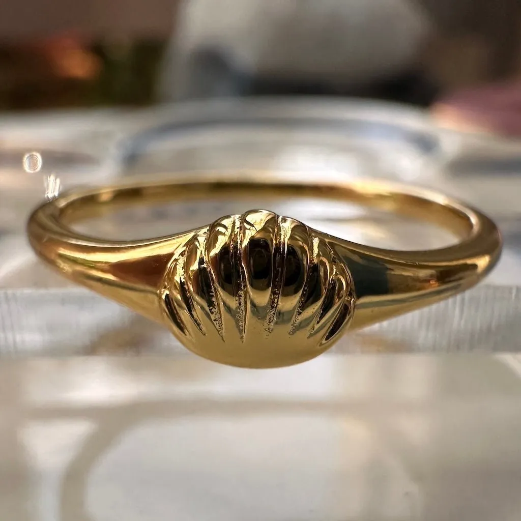 Shell Signet Ring