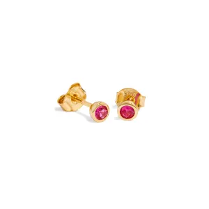 Sterling Silver Mini Birthstone Stud Earrings (Gold)