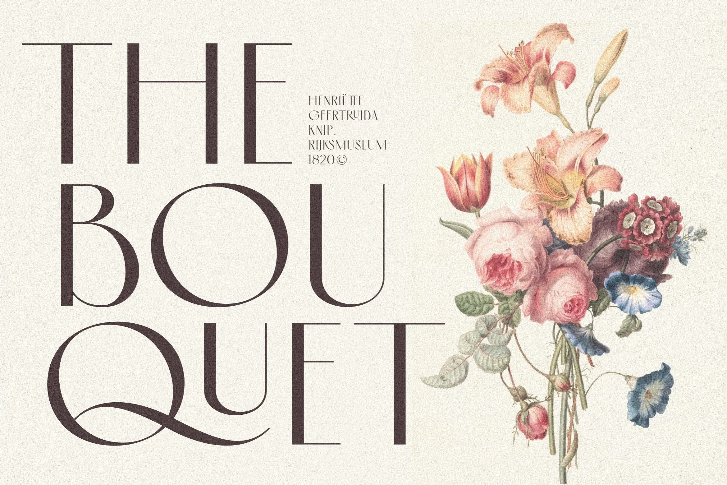 Trovas - Elegant Sans Serif Display Font